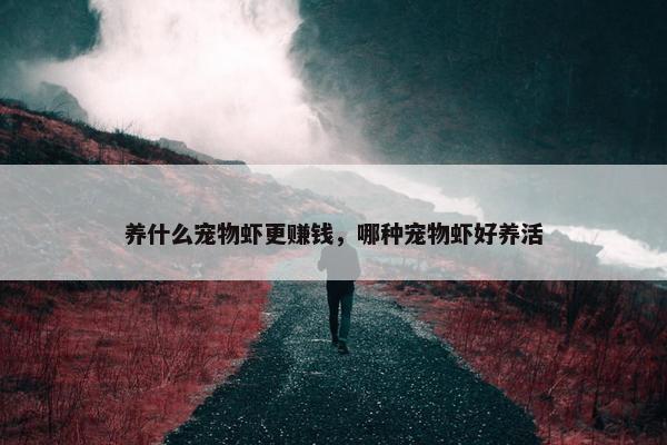 养什么宠物虾更赚钱，哪种宠物虾好养活