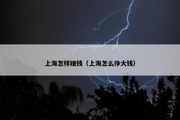 上海怎样赚钱（上海怎么挣大钱）