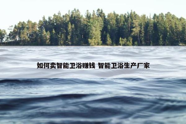 如何卖智能卫浴赚钱 智能卫浴生产厂家