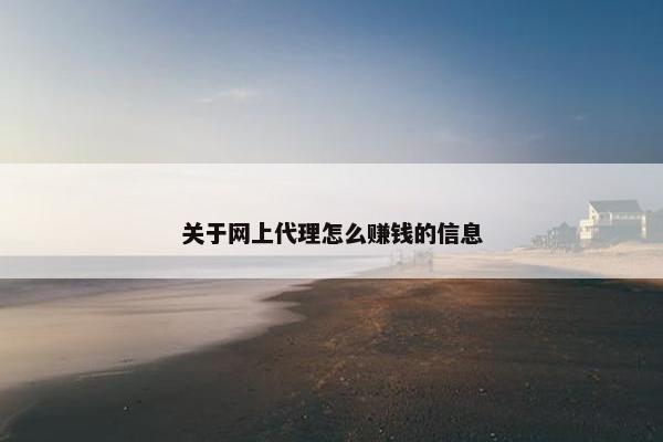 关于网上代理怎么赚钱的信息