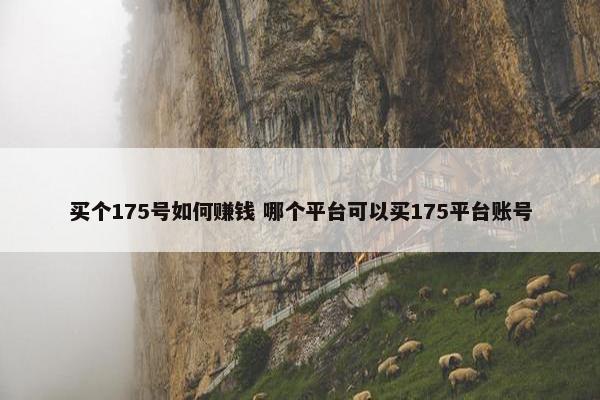 买个175号如何赚钱 哪个平台可以买175平台账号