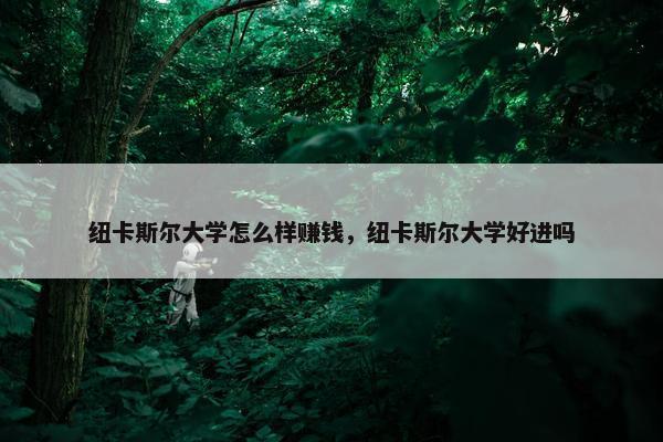 纽卡斯尔大学怎么样赚钱，纽卡斯尔大学好进吗