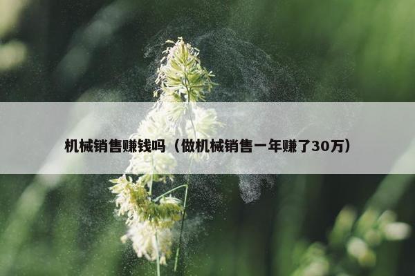 机械销售赚钱吗（做机械销售一年赚了30万）