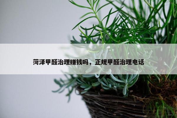 菏泽甲醛治理赚钱吗，正规甲醛治理电话