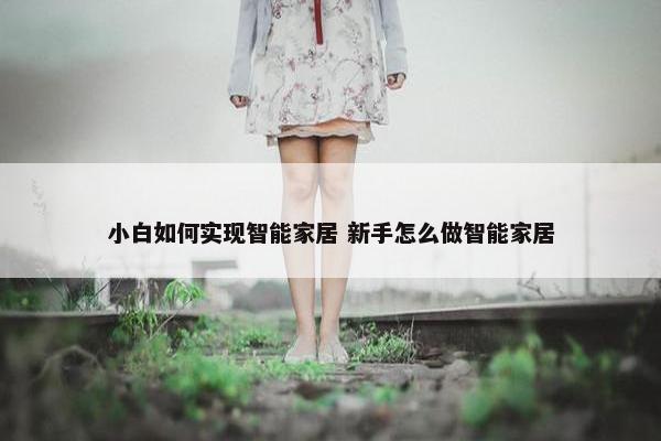 小白如何实现智能家居 新手怎么做智能家居