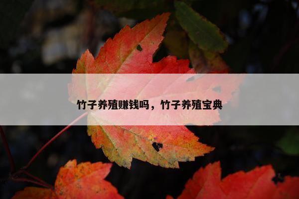 竹子养殖赚钱吗，竹子养殖宝典