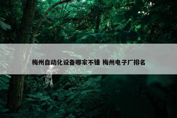 梅州自动化设备哪家不错 梅州电子厂排名