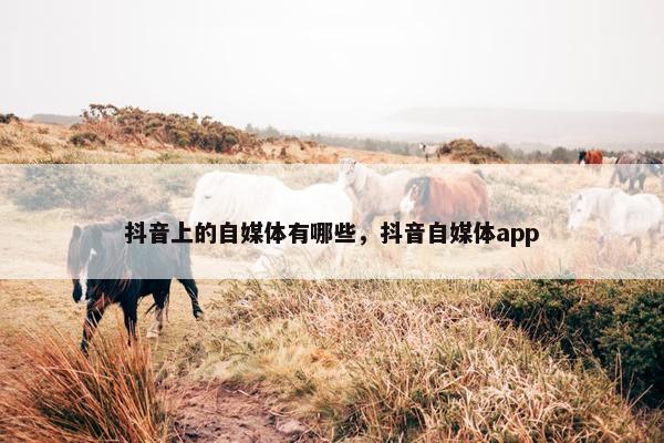 抖音上的自媒体有哪些，抖音自媒体app