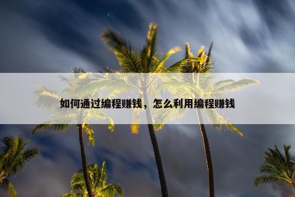 如何通过编程赚钱，怎么利用编程赚钱