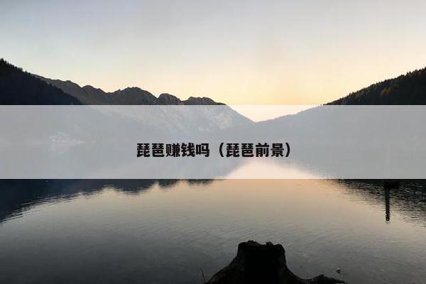 琵琶赚钱吗（琵琶前景）