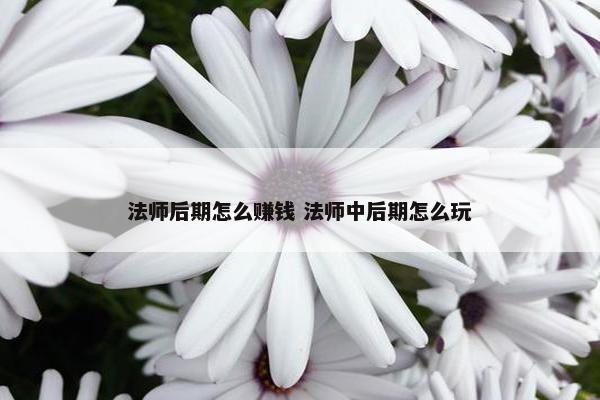 法师后期怎么赚钱 法师中后期怎么玩