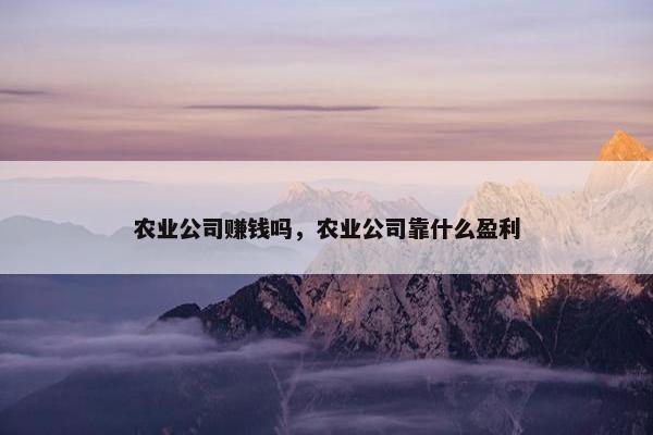 农业公司赚钱吗，农业公司靠什么盈利