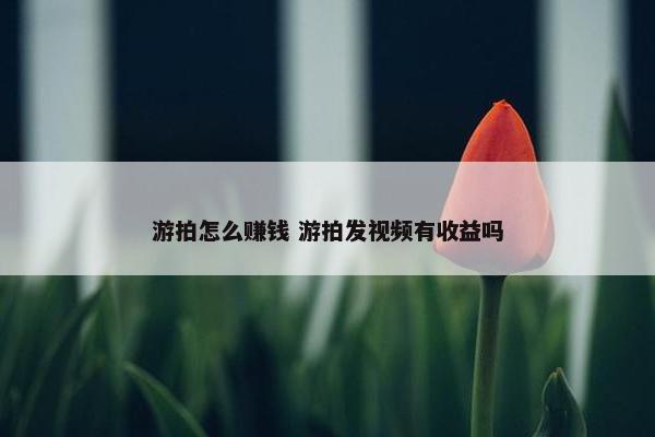 游拍怎么赚钱 游拍发视频有收益吗