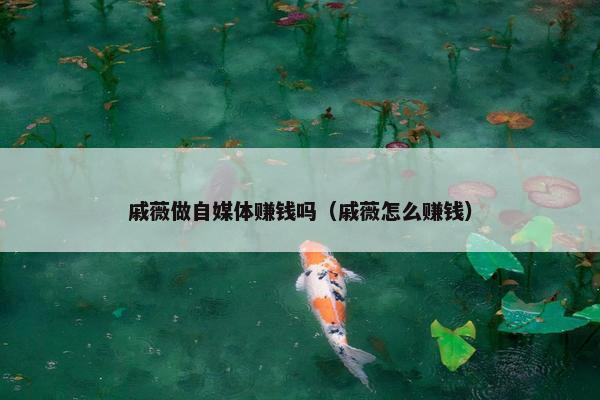 戚薇做自媒体赚钱吗（戚薇怎么赚钱）