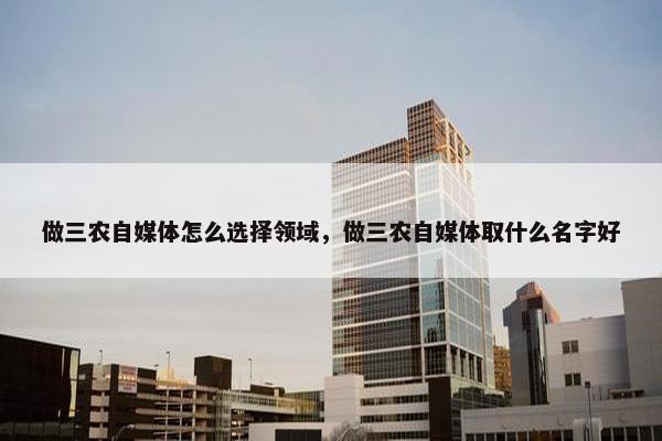 做三农自媒体怎么选择领域，做三农自媒体取什么名字好