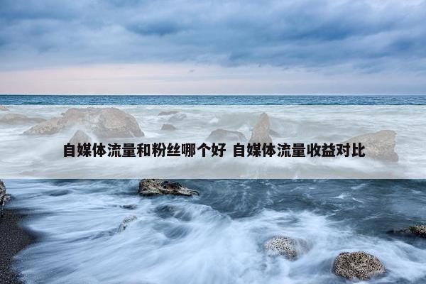 自媒体流量和粉丝哪个好 自媒体流量收益对比