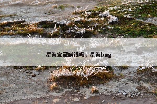 星海宝藏赚钱吗，星海bug