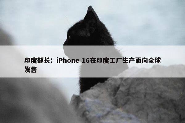 印度部长：iPhone 16在印度工厂生产面向全球发售