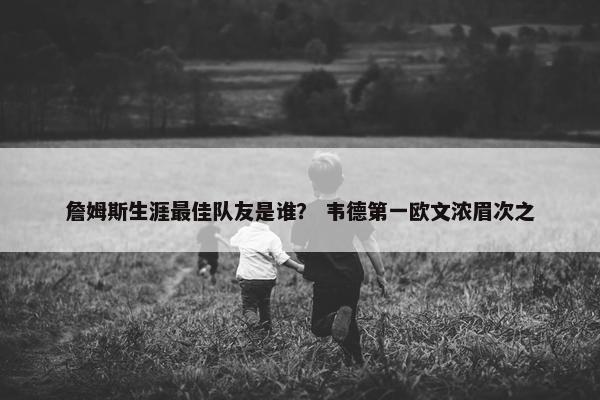 詹姆斯生涯最佳队友是谁？ 韦德第一欧文浓眉次之