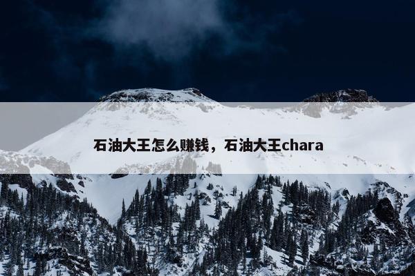 石油大王怎么赚钱，石油大王chara