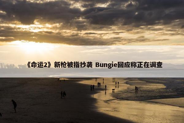 《命运2》新枪被指抄袭 Bungie回应称正在调查