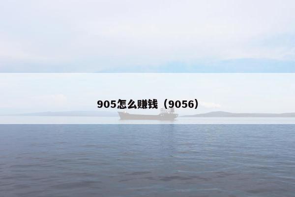 905怎么赚钱（9056）