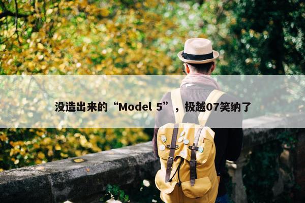 没造出来的“Model 5”，极越07笑纳了