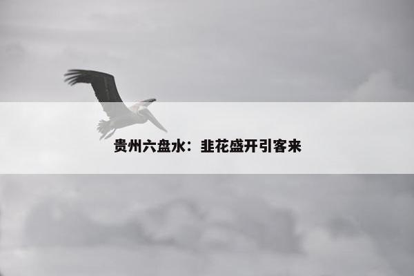 贵州六盘水：韭花盛开引客来