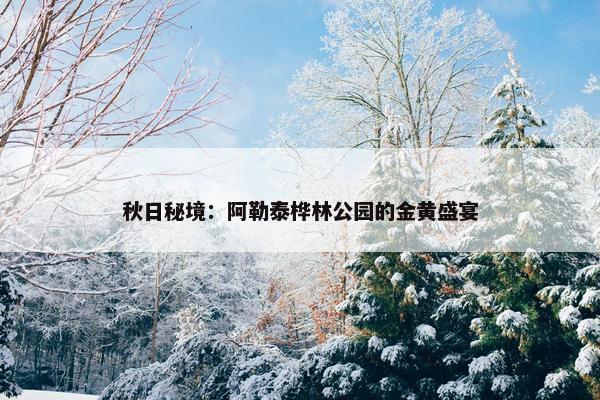 秋日秘境：阿勒泰桦林公园的金黄盛宴