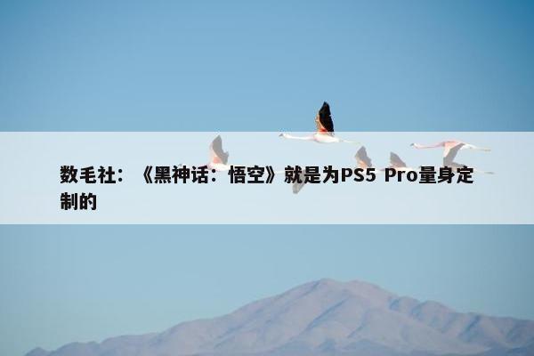 数毛社：《黑神话：悟空》就是为PS5 Pro量身定制的