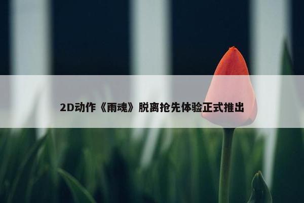 2D动作《雨魂》脱离抢先体验正式推出