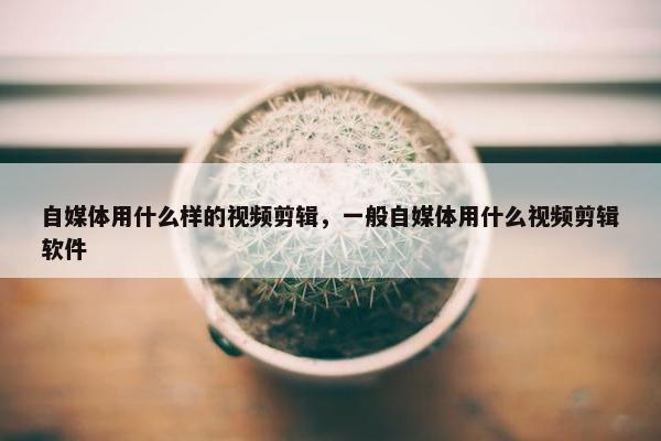 自媒体用什么样的视频剪辑，一般自媒体用什么视频剪辑软件