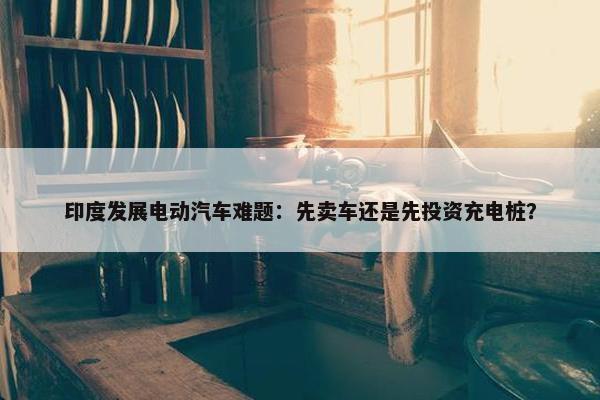 印度发展电动汽车难题：先卖车还是先投资充电桩？