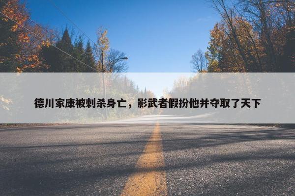 德川家康被刺杀身亡，影武者假扮他并夺取了天下