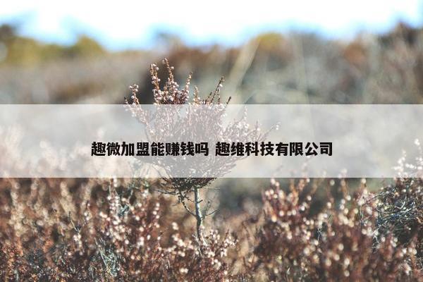 趣微加盟能赚钱吗 趣维科技有限公司