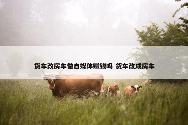 货车改房车做自媒体赚钱吗 货车改成房车