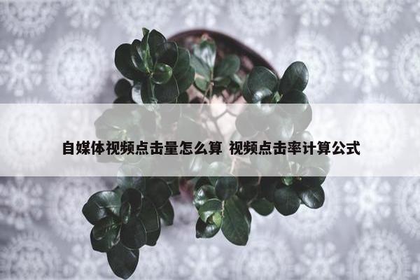 自媒体视频点击量怎么算 视频点击率计算公式