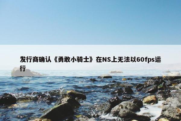 发行商确认《勇敢小骑士》在NS上无法以60fps运行