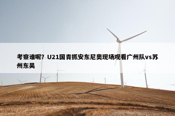 考察谁呢？U21国青抓安东尼奥现场观看广州队vs苏州东吴