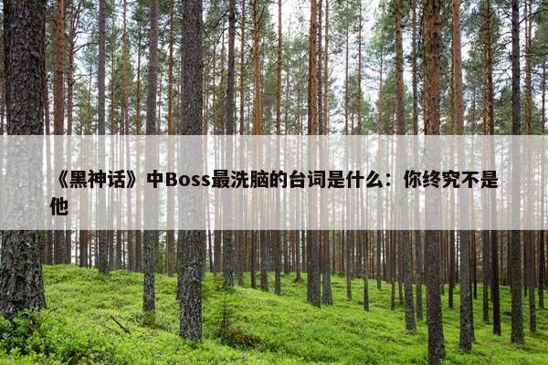 《黑神话》中Boss最洗脑的台词是什么：你终究不是他