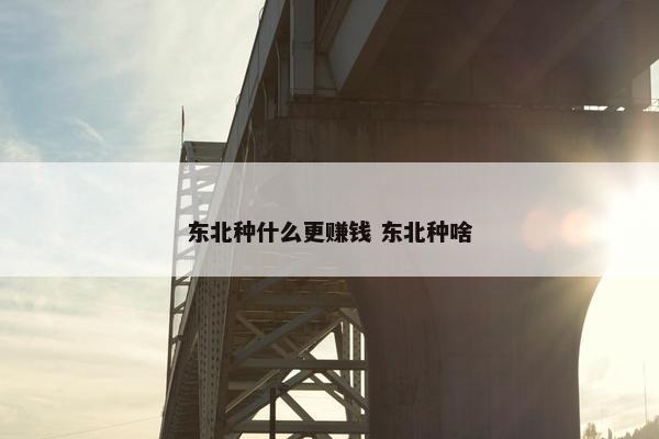 东北种什么更赚钱 东北种啥