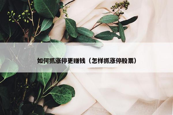 如何抓涨停更赚钱（怎样抓涨停股票）