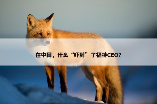 在中国，什么“吓到”了福特CEO？