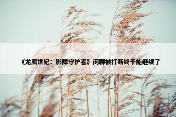 《龙腾世纪：影障守护者》闲聊被打断终于能继续了