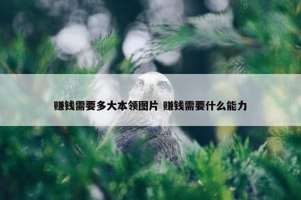 赚钱需要多大本领图片 赚钱需要什么能力