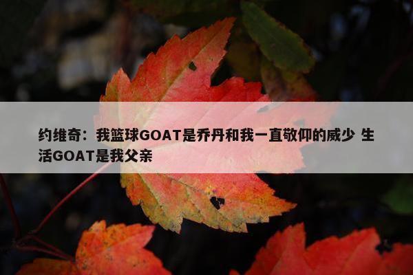 约维奇：我篮球GOAT是乔丹和我一直敬仰的威少 生活GOAT是我父亲