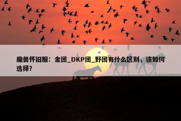 魔兽怀旧服：金团_DKP团_野团有什么区别，该如何选择？