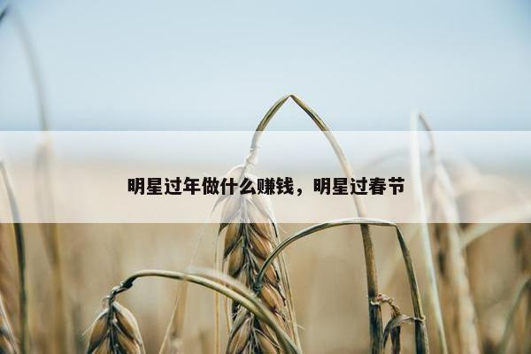 明星过年做什么赚钱，明星过春节