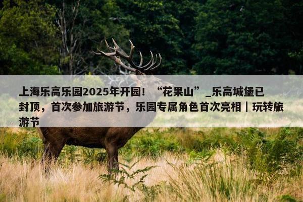 上海乐高乐园2025年开园！“花果山”_乐高城堡已封顶，首次参加旅游节，乐园专属角色首次亮相｜玩转旅游节