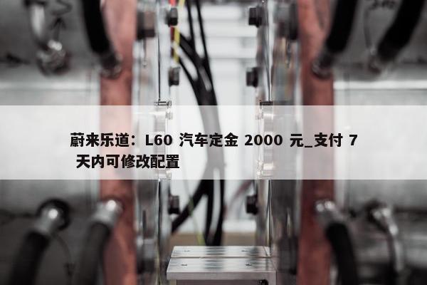 蔚来乐道：L60 汽车定金 2000 元_支付 7 天内可修改配置